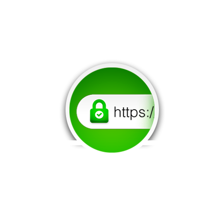 SSL Everywhere pour 1.4.11
